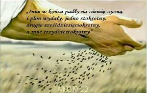 XV NIEDZIELA ZWYKŁA